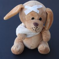 dog-broken-arm-toy-material-teddy-bear-996936-pxhere.com